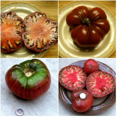 Насіння томату «1884 фіолетовий»