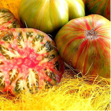 Tomato seeds «Green copia»