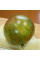 Tomato seeds «Green copia»