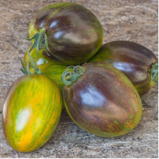 Tomato seeds «Atomic Fusion»