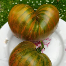 Tomato seeds «Marsha's starfighter heart»