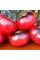 Tomato seeds «Aurora blue»