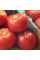 Tomato seeds «Florida 47» F1