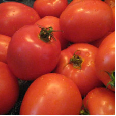 Tomato seeds «Nemador»