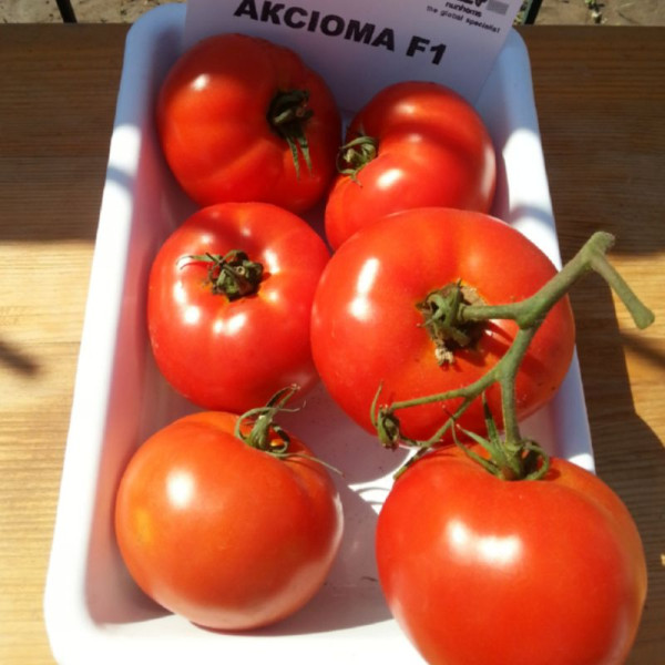 Tomato seeds «Axioma» F1