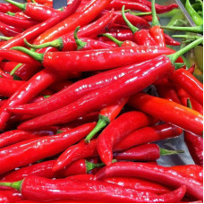 Hot pepper seeds «Er Jing Tiao»