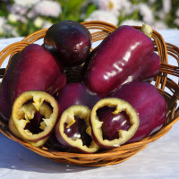 Семена перца сладкого «Фиолетовый красавец»