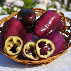 Sweet pepper seeds «Purple handsome»