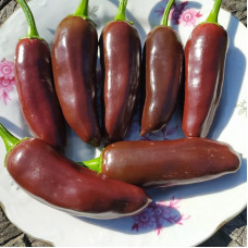 Hot pepper seeds «Jalapeno brown»