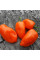 Hot pepper seeds «Habanero orange»