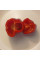 Sweet pepper seeds «Red cube»