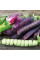 Pea seeds «Purple Blauwschokker»