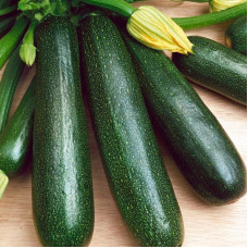Squash seeds «President»