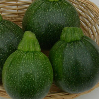 Squash seeds «Boatswain»