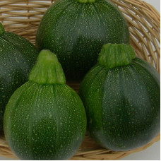 Squash seeds «Boatswain»