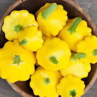 Pattypan squash seeds «Yellow»