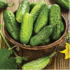 Cucumber seeds «Smak» F1