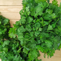 Parsley seeds «Fragrant»