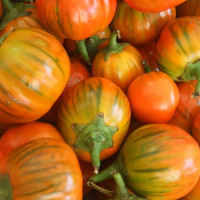 Eggplant seeds «Turkish orange»