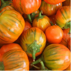 Eggplant seeds «Turkish orange»