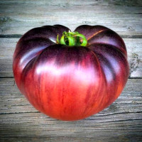 Tomato seeds «Pink Siberian tiger»