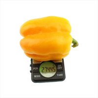 Sweet pepper seeds «Orange giant»