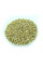 African pennisetum (millet) seeds «White miracle»
