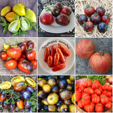 Set of seeds «Exotic tomatoes» - 9 bags of 10 seeds each