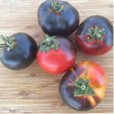 Tomato seeds «Indigo Apple»