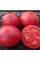 Tomato seeds «Tapi Tom»