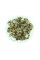 Downy Japanese maple seeds