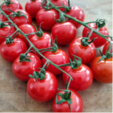 Насіння томату «Чедвік черрі»