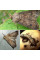 Trap «Turnip moth»