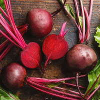 Beet seeds «Karmazin»