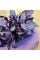 Basil seeds «Purple» inlaid