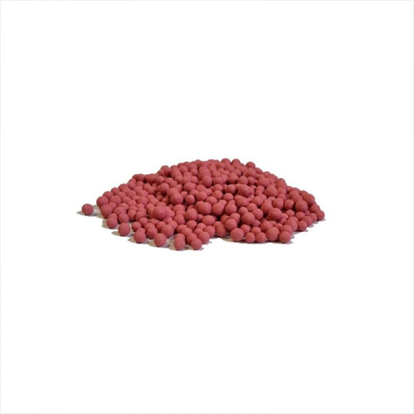 Cabbage seeds «Dithmarscher Frewer» coated