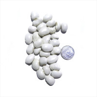 Насіння квасолі «Еурека»