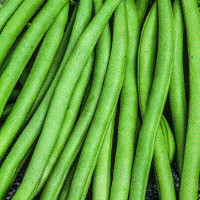 Bean seeds «Moliere»