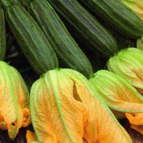 Squash seeds «Edible flowers»