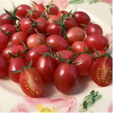 Tomato seeds «Prince of the Bourgeois»