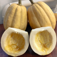 Семена тыквы «Печеный картофель»
