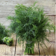 Dill seeds «Roomed»