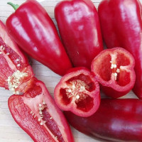 Насіння перцю солодкого «Лайлак Белл»