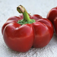 Sweet pepper seeds «Novogoshary»
