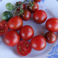 Tomato seeds «Cappuccino»