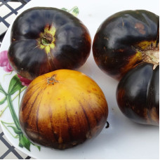 Насіння томату «Пурпурний Схід»