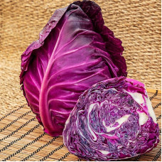 Cabbage seeds «Calibos»