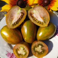 Tomato seeds «Dwarf Audrey's Love»