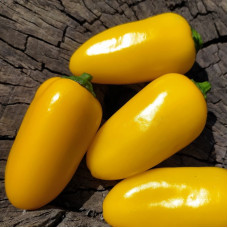 Hot pepper seeds «Jalapeno Lemon Spice Giant №1»