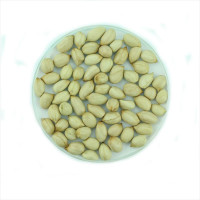 Насіння арахісу «Аргентинський білий»